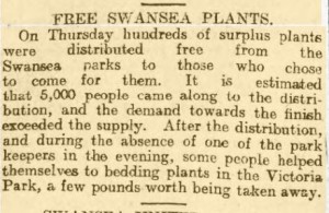 Free plants 21 10 1904